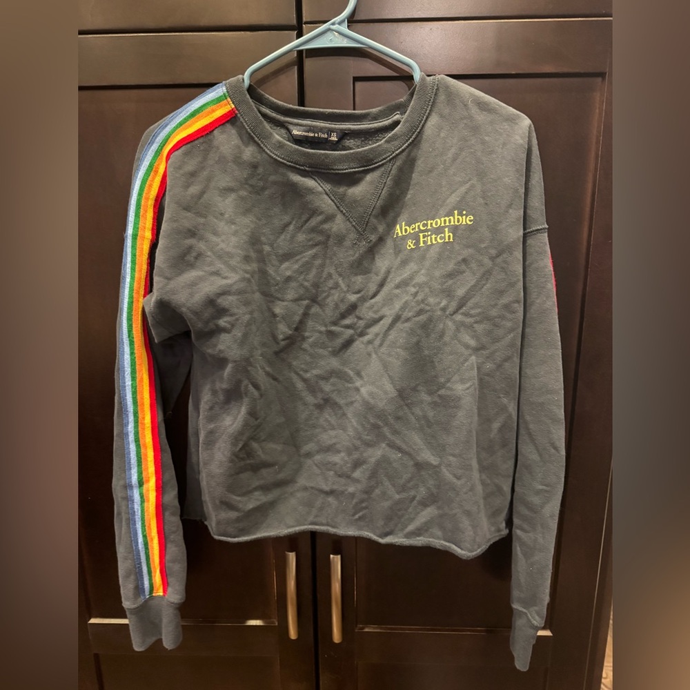 Abercrombie & Fitch Cropped Charcoal Sweatshirt with Rainbow Sleeve